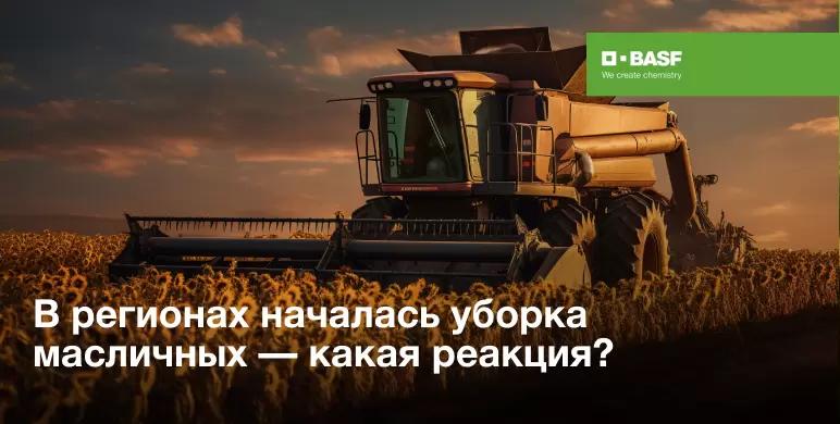 Уборка масличных стартовала. Как отреагировали регионы?