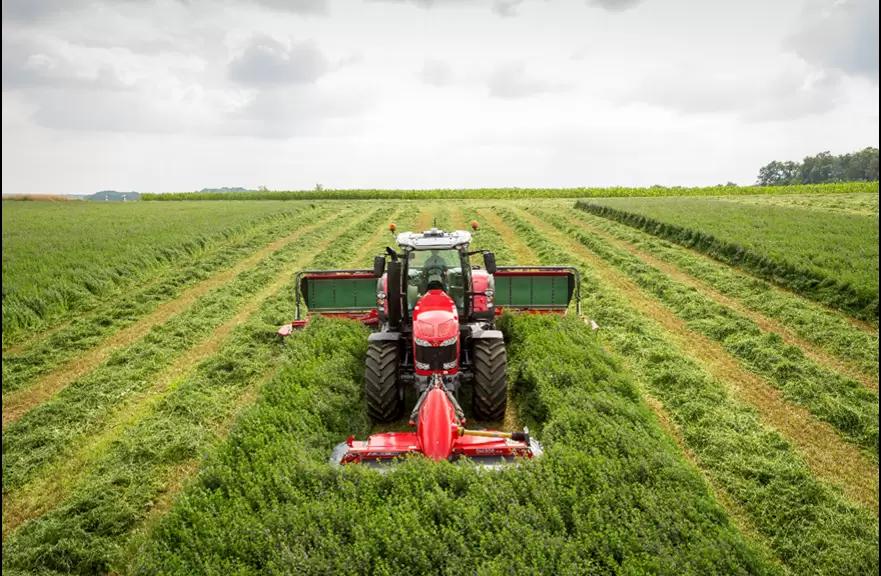 Советы по кошению