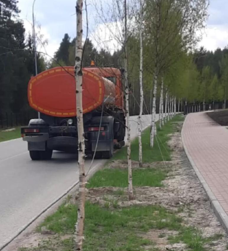 Ремедиация почвы после ПГС (противогололёдных смесей)