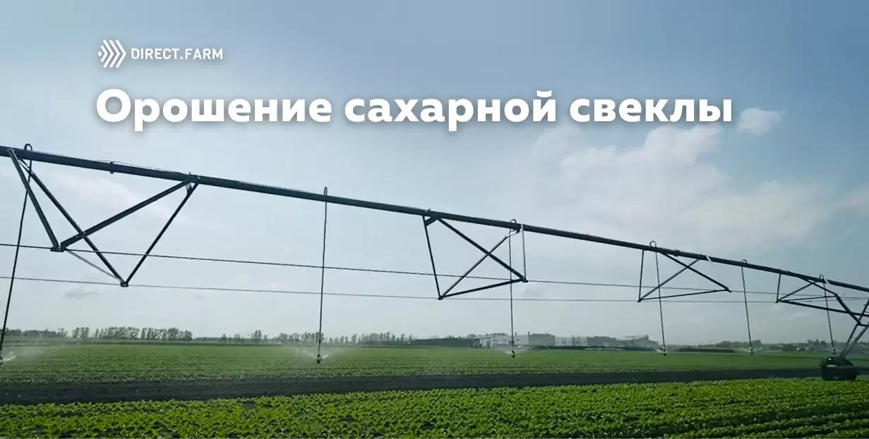 Орошение сахарной свеклы