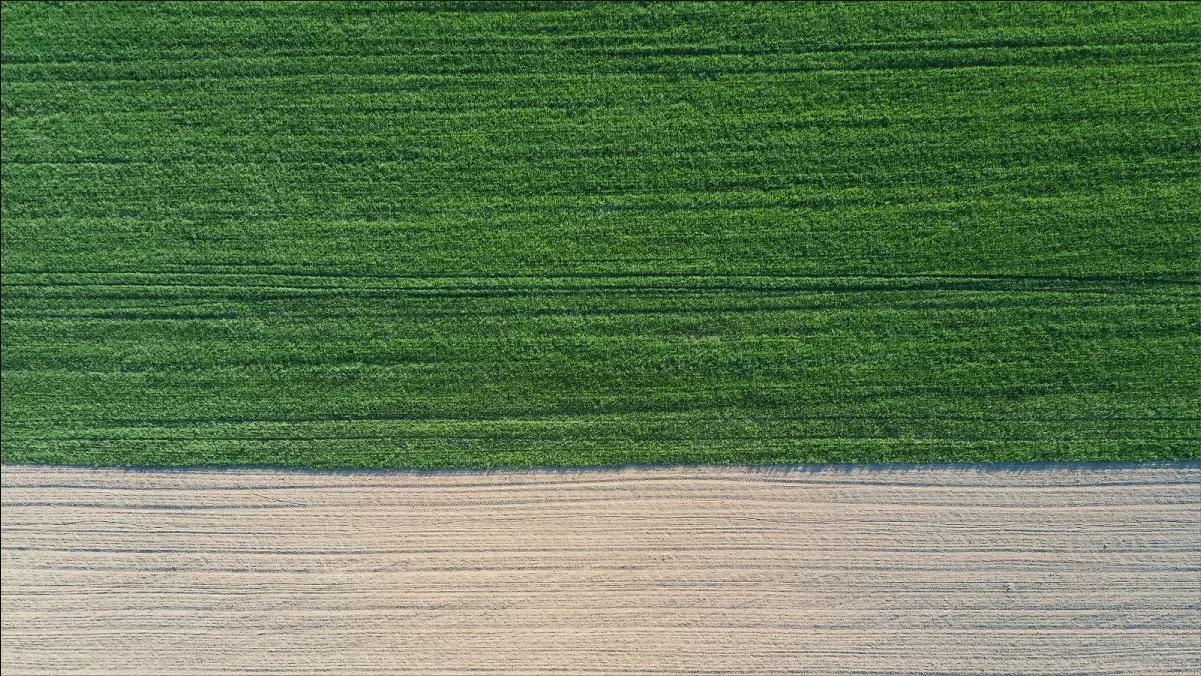 Эксперимент по дифвнесению азота на пшенице