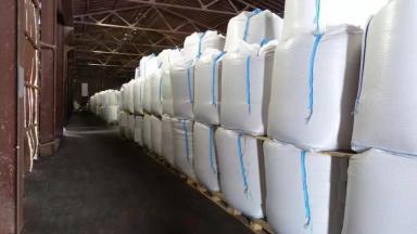 Семена гороха Астронавт РС1