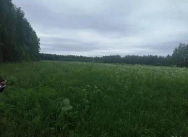 Земельный участок 9,4 га