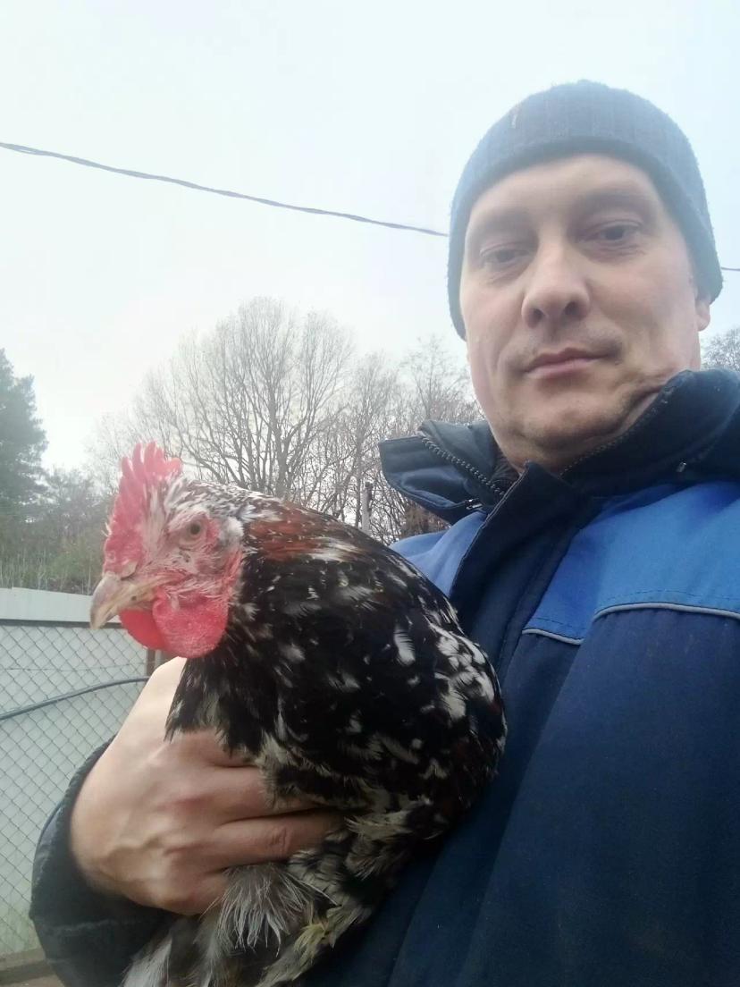 Подборочка фоточек