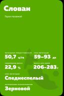 Слован (SLOVAN) сорт гороха посевного