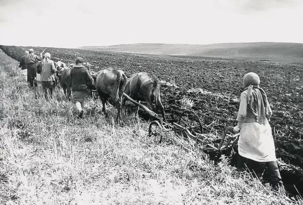 Россиянам расскажут о сельском хозяйстве