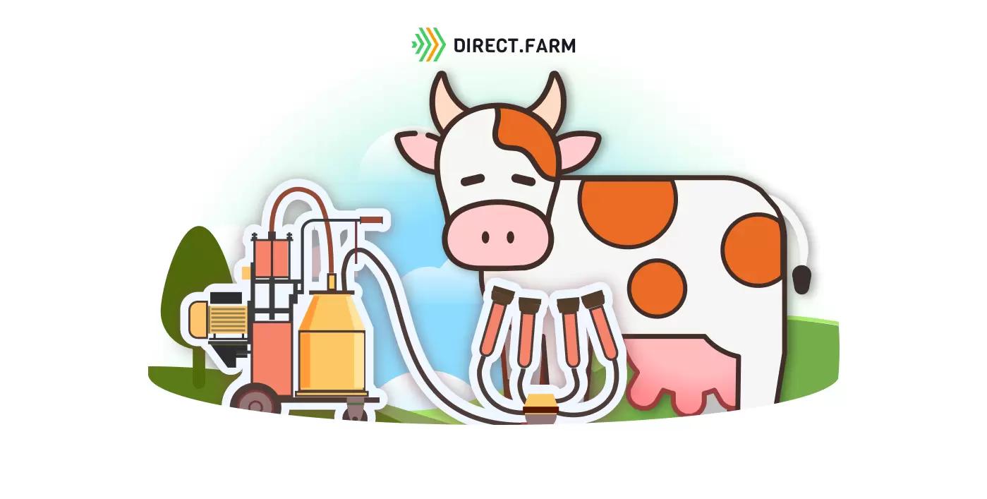 Какие показатели свидетельствуют о тугодойности коров?