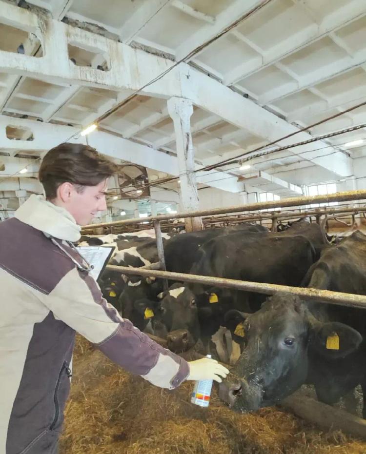 🌾 Искусство кормления: ключевой фактор здорового потомства 🌾
