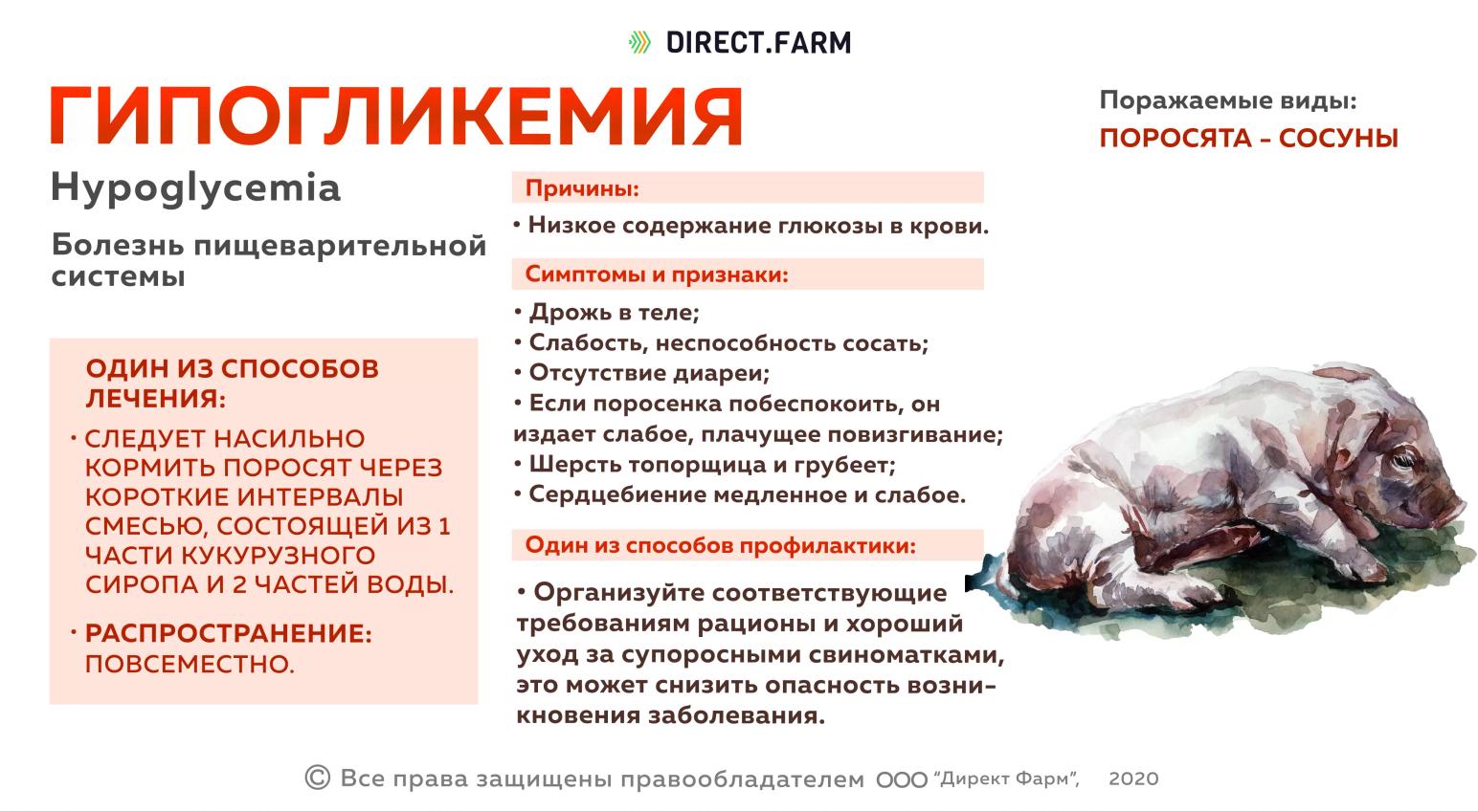 Гипогликемия поросят