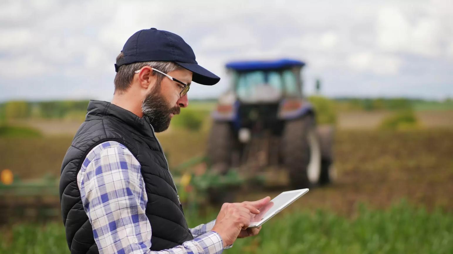 «Август» на платформе «Поле.РФ»