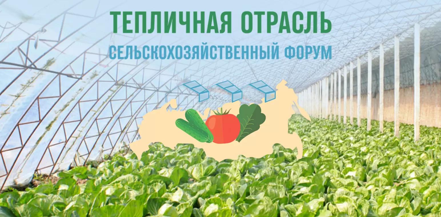 Брендинг в тепличной отрасли - конкуренция в новой реальности