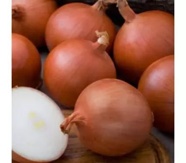 Семена лука сорт Меллори, Бонус