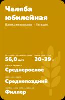 Челяба юбилейная