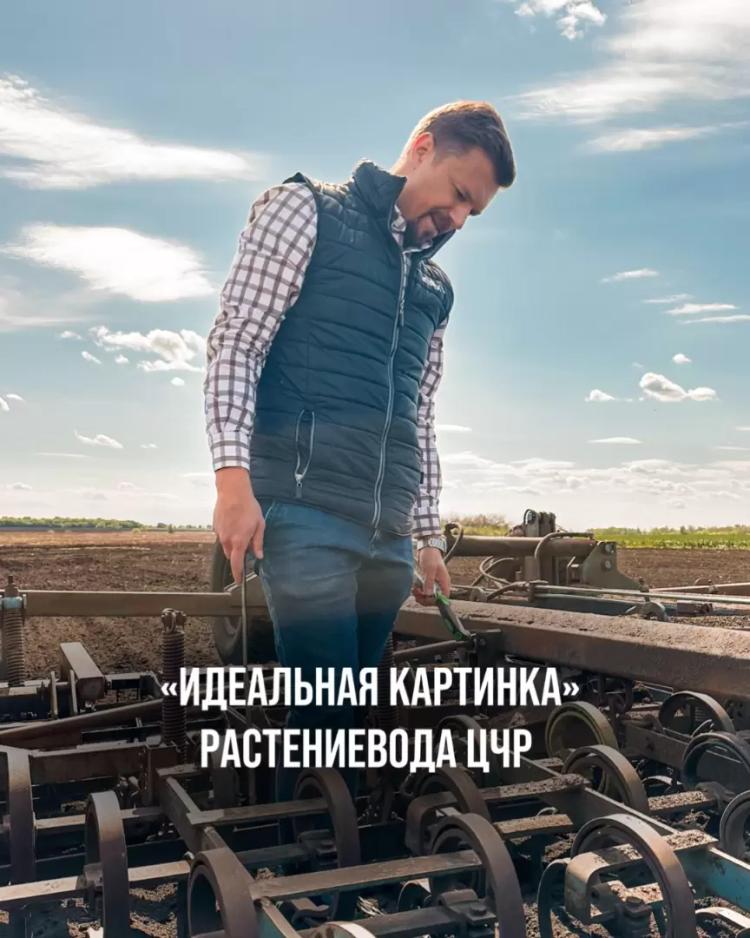 «ИДЕАЛЬНАЯ КАРТИНКА» РАСТЕНИЕВОДА ЦЧР