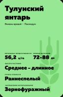 Тулунский янтарь