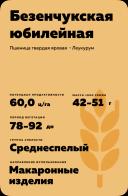 Безенчукская юбилейная пшеница яровая твердая