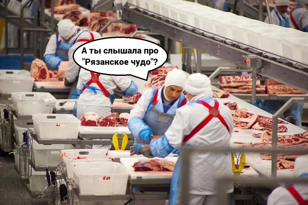 Россия произвела рекордный объем мяса со времен СССР