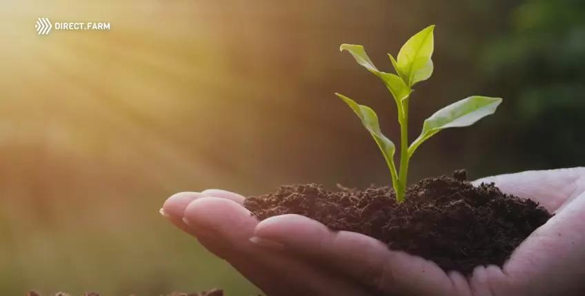 Качество почвы и питание сельскохозяйственных культур