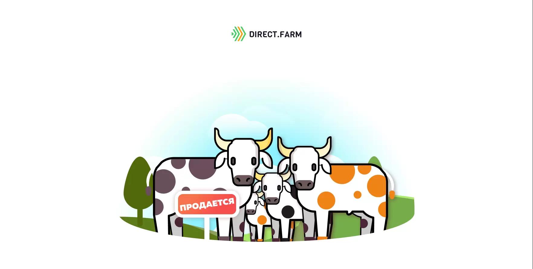 Что учесть при приобретении мясного скота?