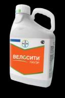 Велосити Пауэр, ВДГ