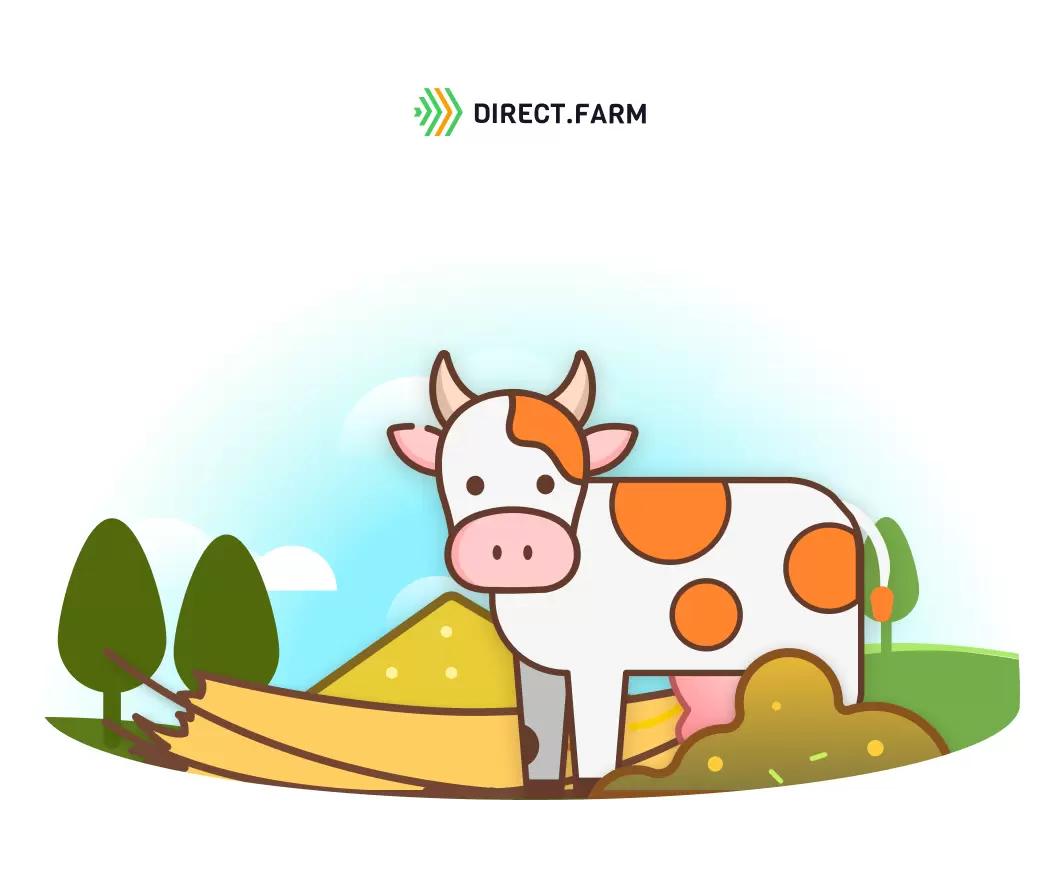 Какую подстилку для коров выбрать?