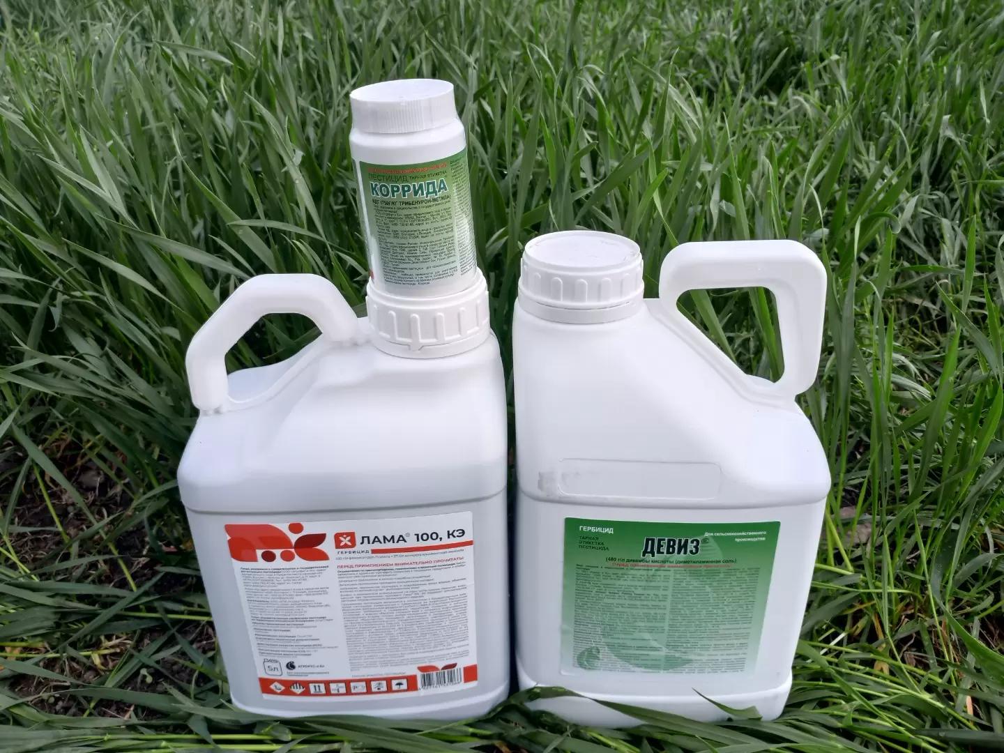 Варианты комплексной защиты посевов пшеницы от сорной растительности (Часть 2)