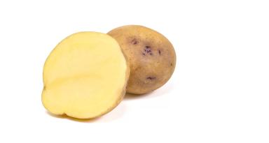 Вентана - сорт картофеля (Solanum tuberosum L.).