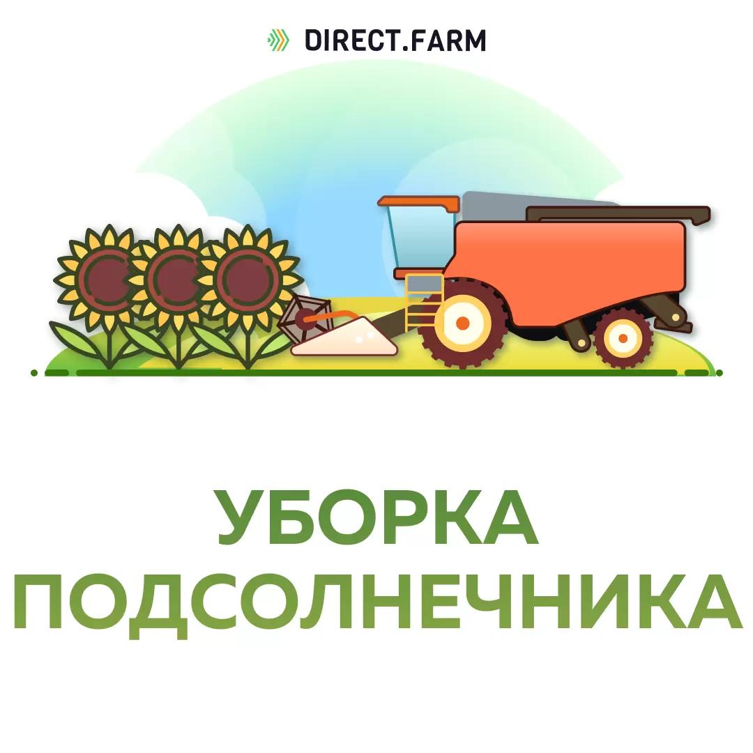Уборка подсолнечника