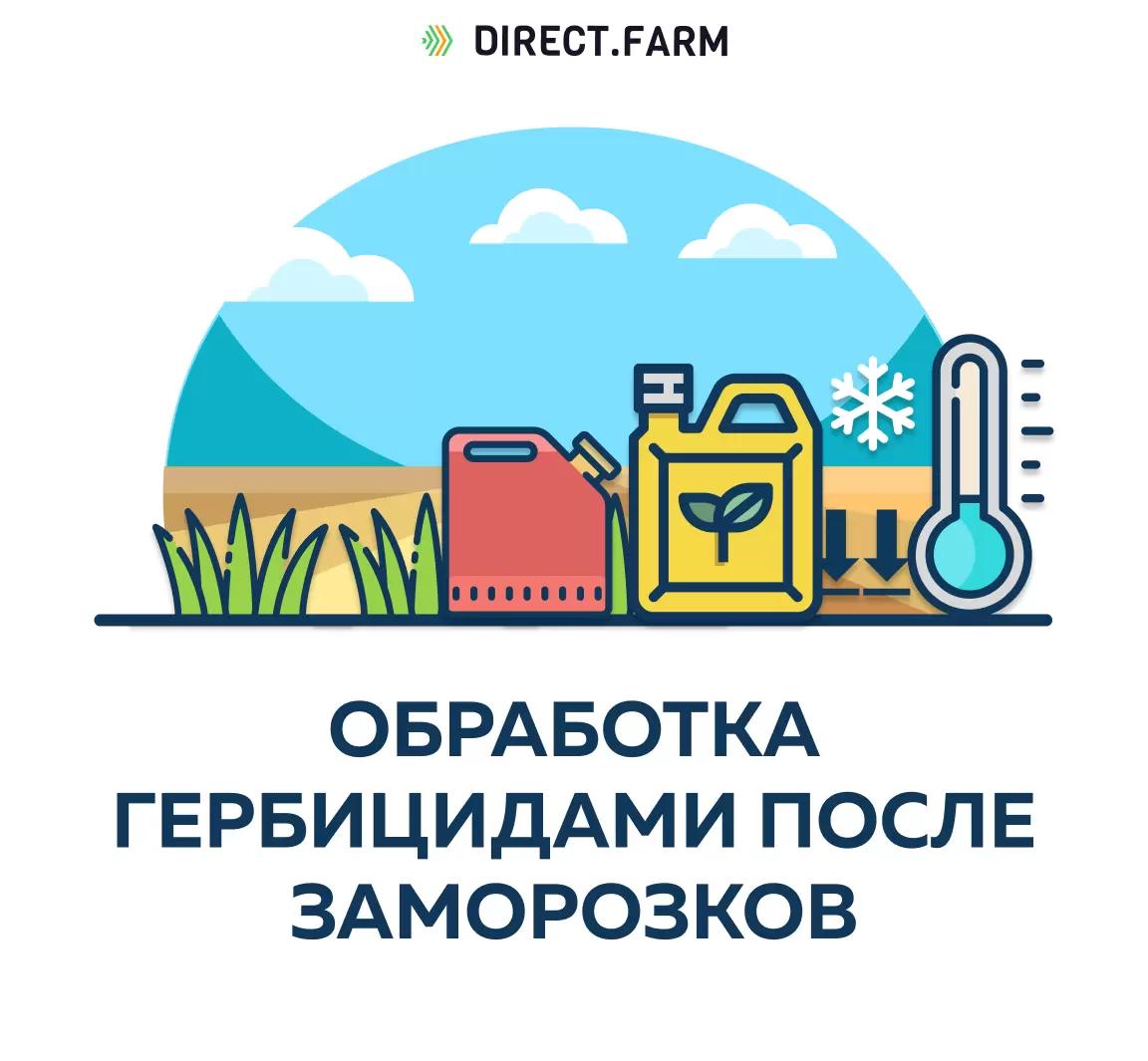 Работать гербицидами или нет?