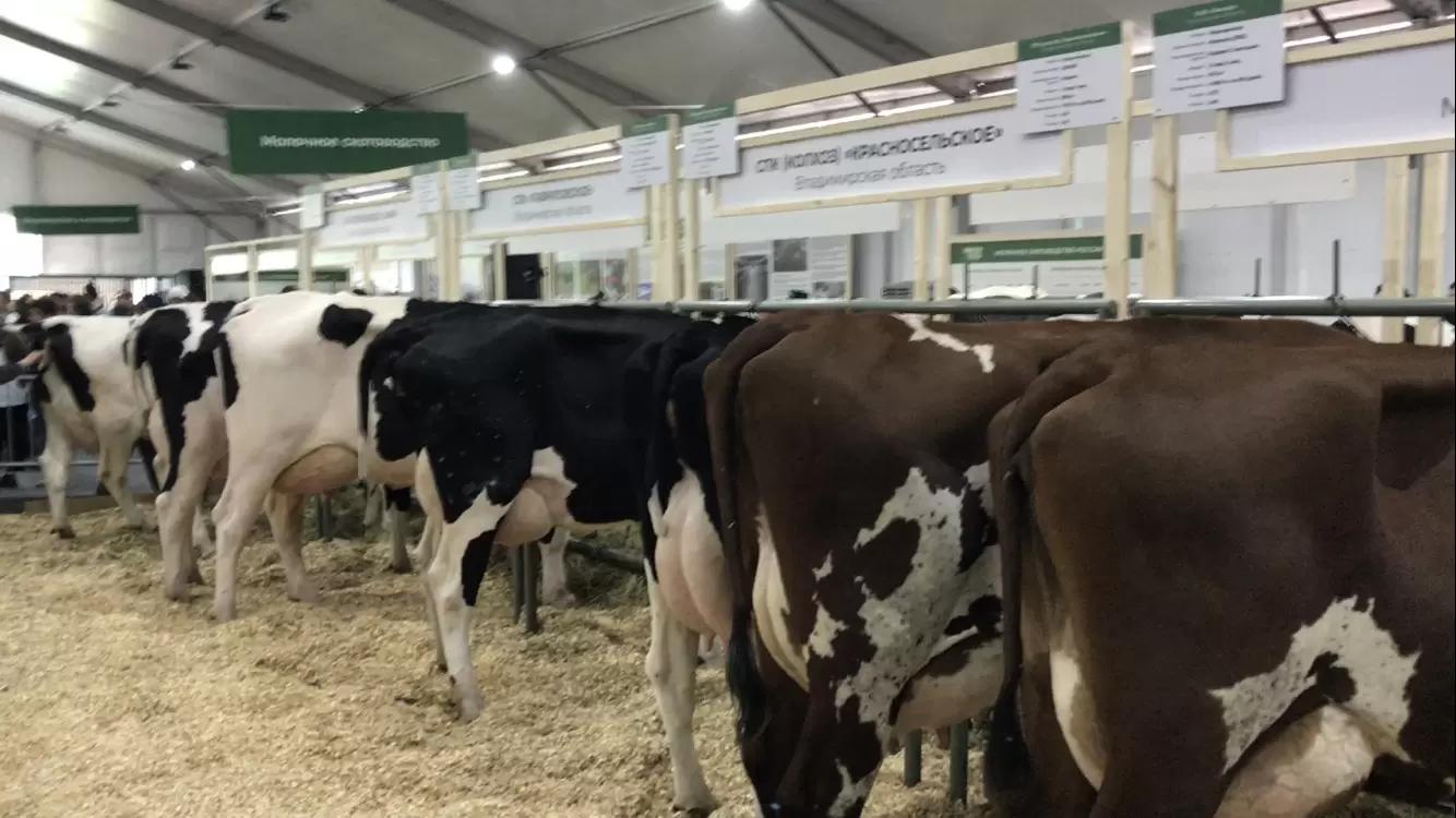 Выставка "Золотая Осень" 2023