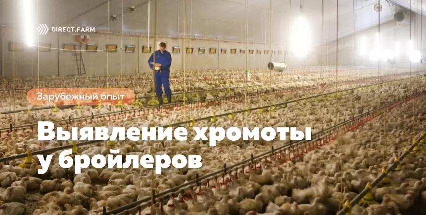 Автоматическое выявление хромоты при выращивании бройлеров