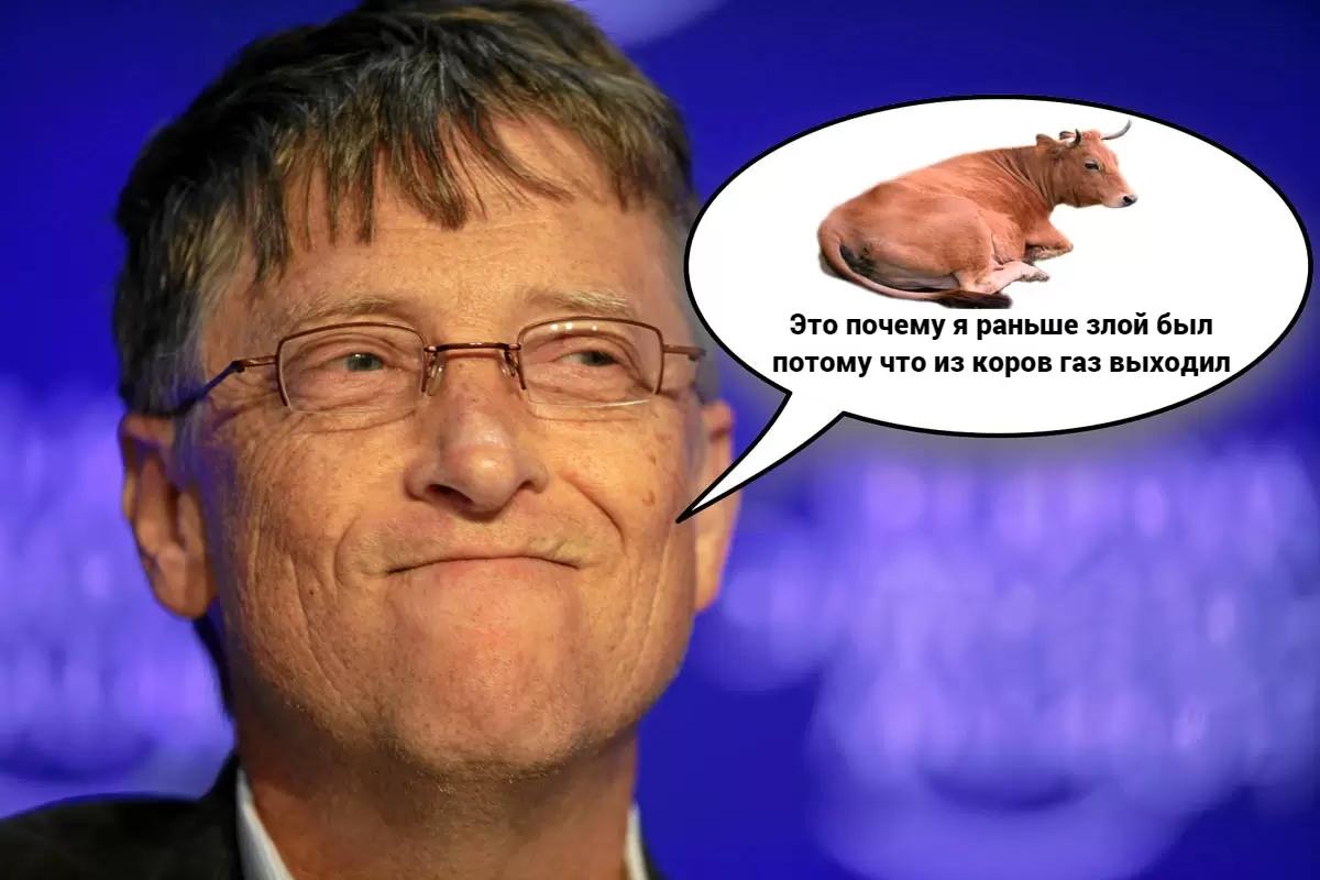 🐮  Билл Гейтс вложил деньги в производство добавки против выброса газа у коров