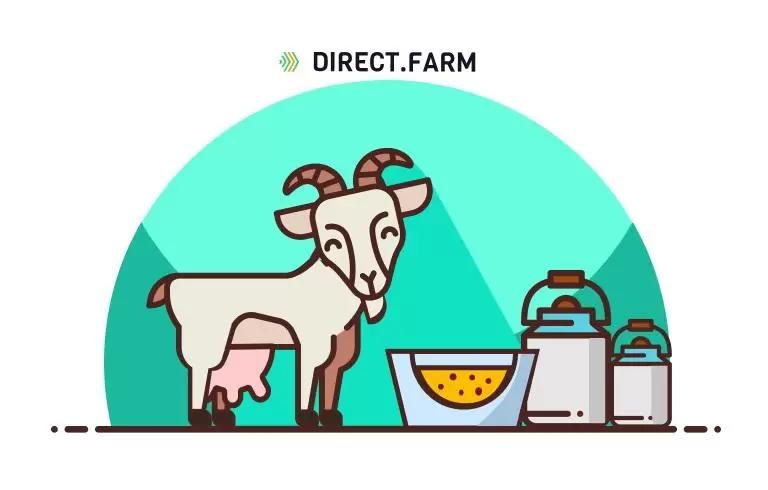 Как кормить высокопродуктивных коз?