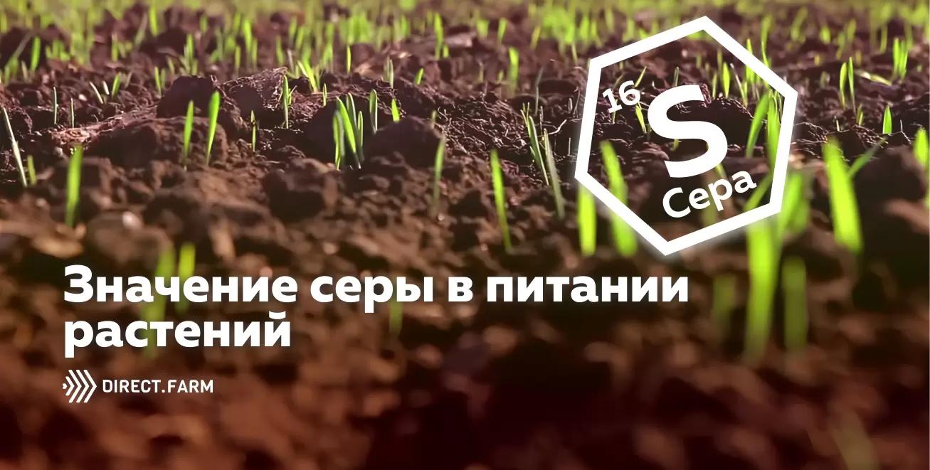 Сера в питании растений