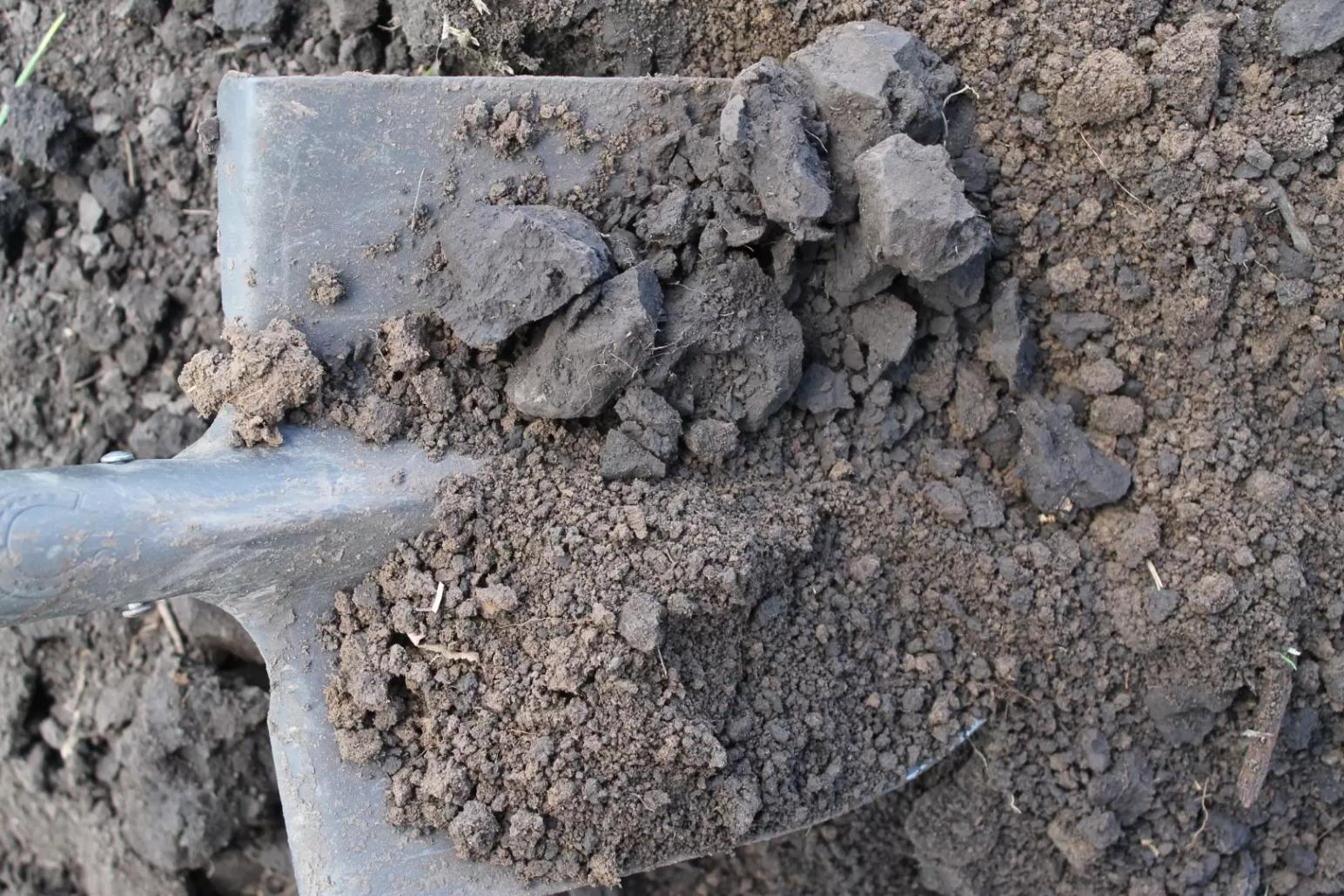 Структура почв: от размеров агрегатов до сохранения здоровья почв