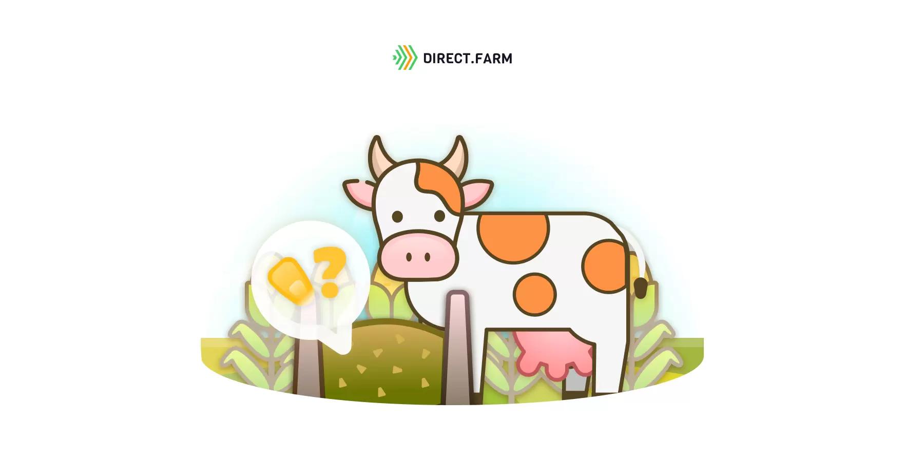 Выбираем тип зерна кукурузы на силос