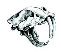 Два взгляда на смерть