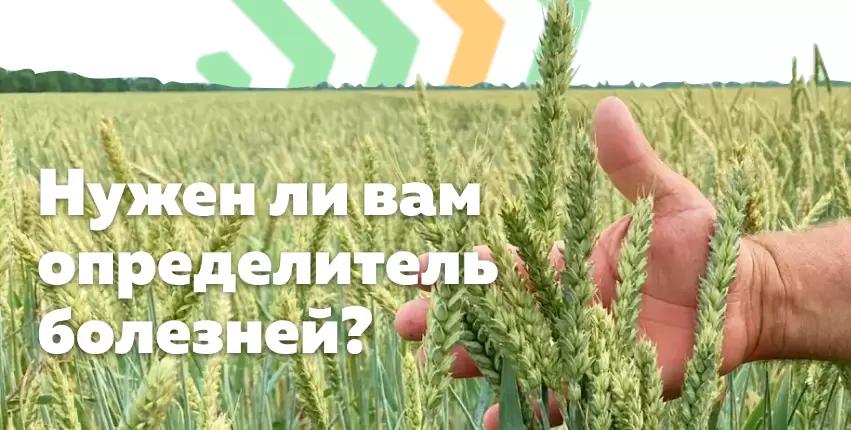 Возможность определить болезнь за минуту