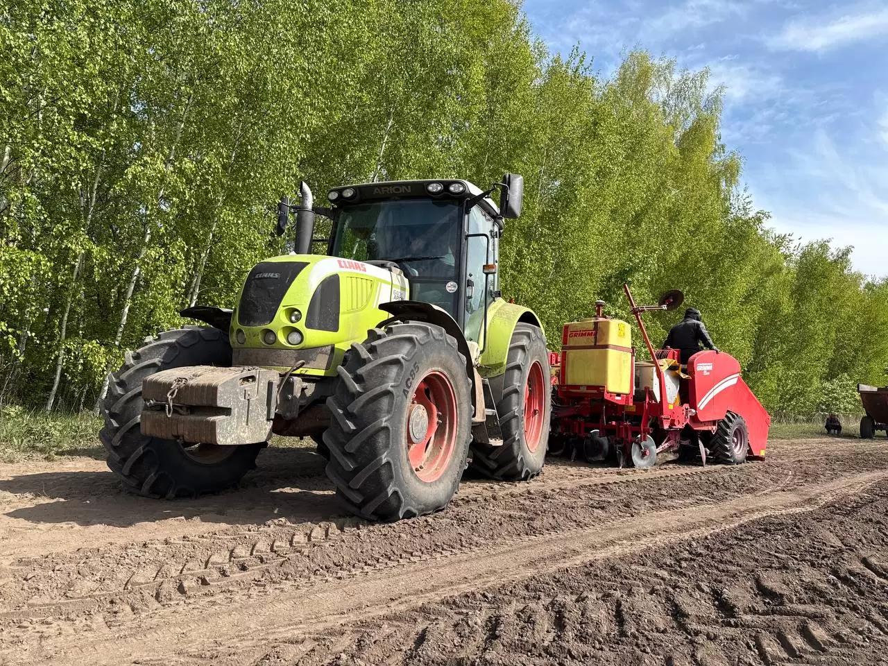 Точная посадка овощных культур