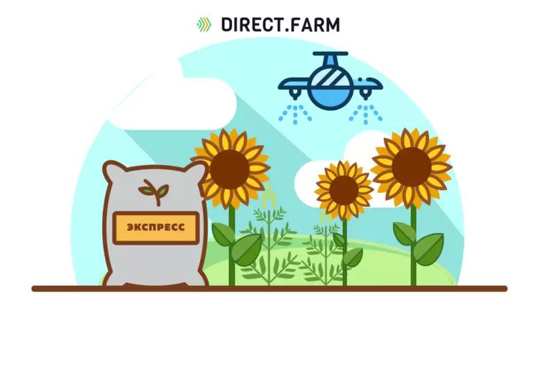 Как распределить дозу трибенурон-метила на подсолнечнике?