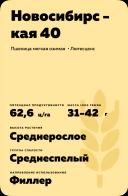 Новосибирская 40