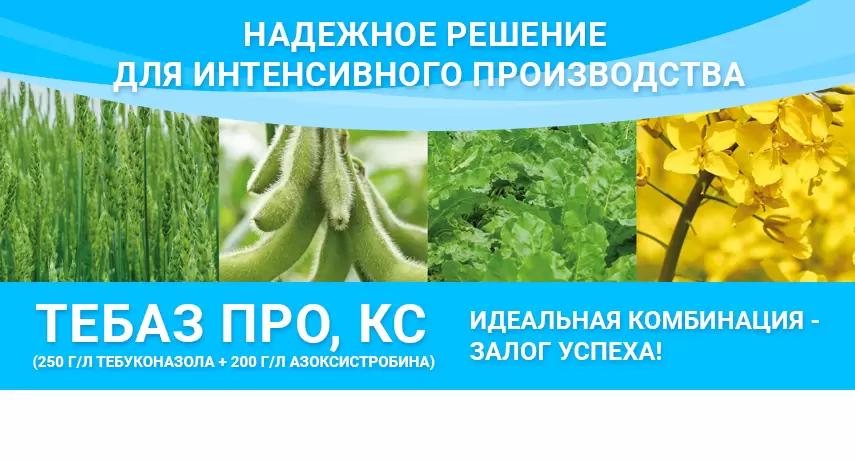 Тебаз Про – системный фунгицид широкого спектра действия