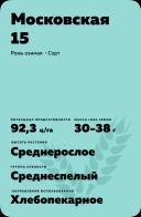 Московская 15