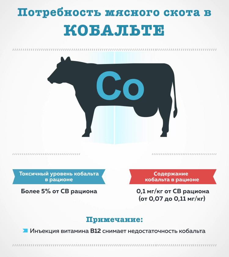 Потребность мясного скота в кобальте