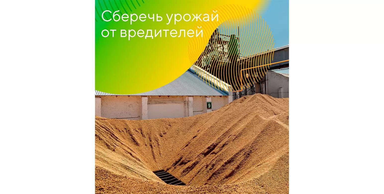 Принципы правильного хранения зерна