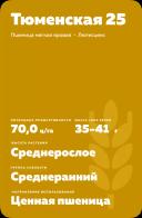 Тюменская 25