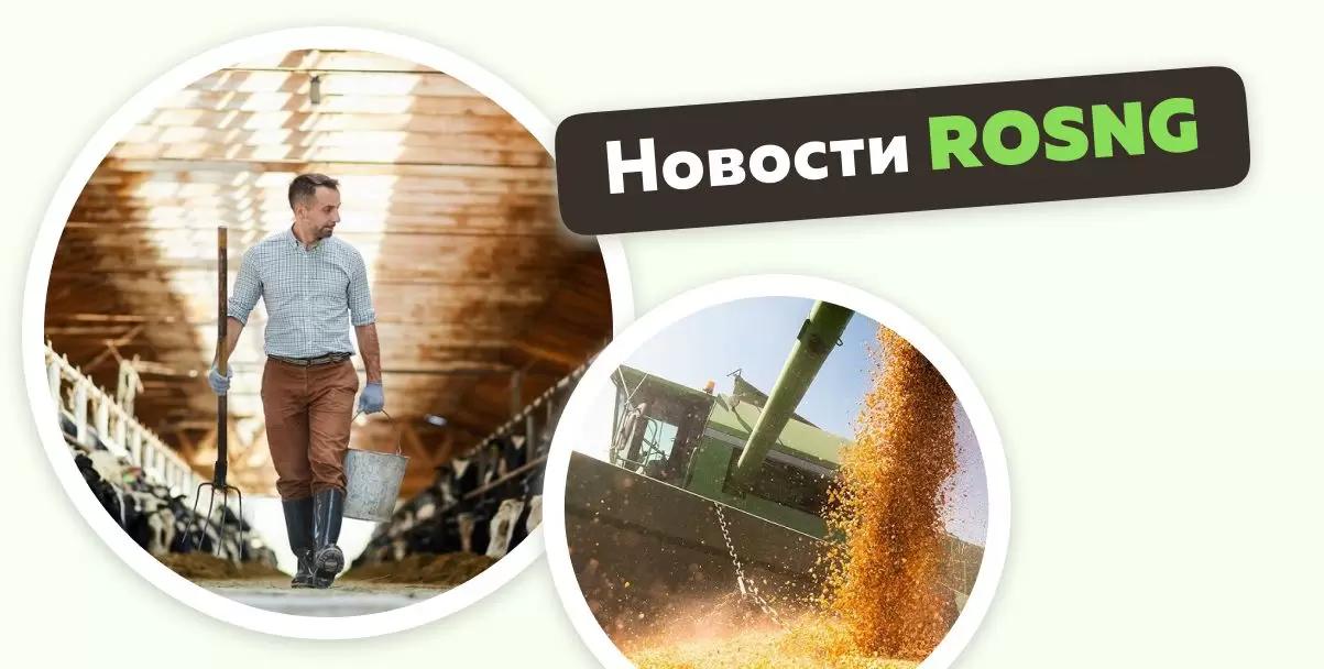 Обзор новостей за 30 ноября