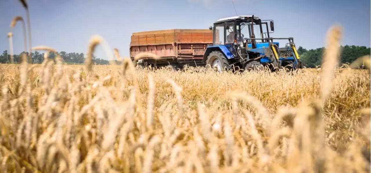 Малый агробизнес получил более 217 млрд рублей льготных кредитов в 2022 году