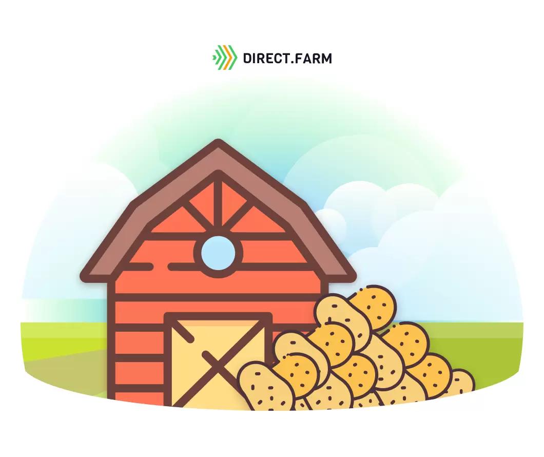 Фумигация картофелехранилища