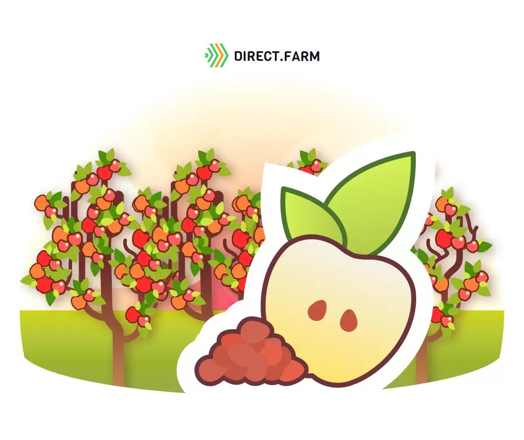 Особенности маточно-семенного сада